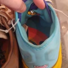 Nike LeBron 18 tune squad shoes