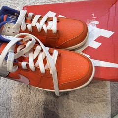 Dunk Low SE Everything You Need GS