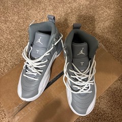 Air Jordan 12 Retro GS Stealth (153265-015)