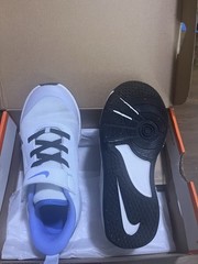 Nike Omni Multi-Court Low Grey/Royal Pulse 1Y