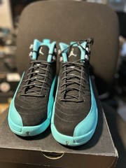 Jordan 12 hyper jade 9.5y