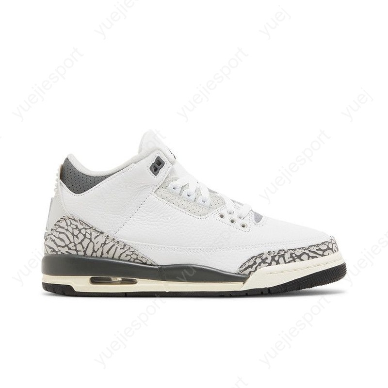 Air Jordan 3 Retro Gs Hide N Sneak DX6665-100