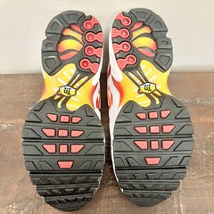 Nike Air Max Plus TN Sunburn White Lava Red Orange FN3857-100 4Y