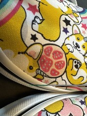 VANS Off The Wall Youth 4 Uni-corgi Corgi Rainbow Dog Sneakers Shoes Low