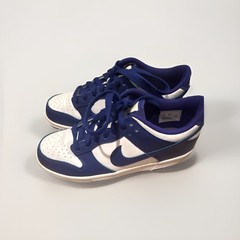 Nike Dunk Teens Blue/White Colorblock Low-Top Lace-Up Sneakers Rubber Outsole