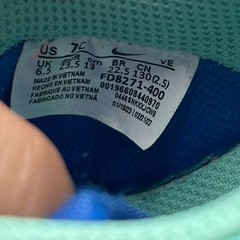 Nike Dunk Low Retro TD Salmon Toe Size 7C Hyper Royal Sanddrift Toddler