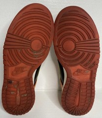 Nike Dunk Low GS Orange Blaze Cactus Shoes GS Size 7Y Women’s 8.5 310569-032