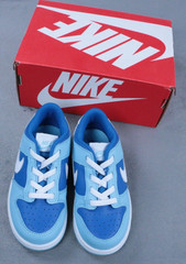 Nike Dunk Low TD Argon Blue Toddler Size 9C DV2634-400 Kids Sneakers New