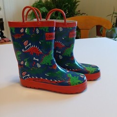 Lone Cone rubber boots size 1 kids dinosaurs red blue green pull on handles