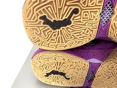 Nike LeBron XX SE Vivid Purple/Metallic Gold FD0207-500 Size US 5.5Y NEW