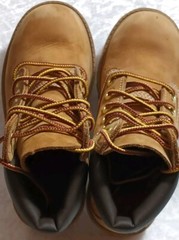 Timberland Wheat 6 Inch Classic 12809 Premium Toddler Boots Size 11
