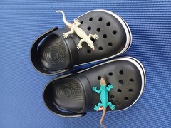 Crocs Kids Crocband Clog | Slip On Shoes | Comfortable Water Shoes, Black, J1 US