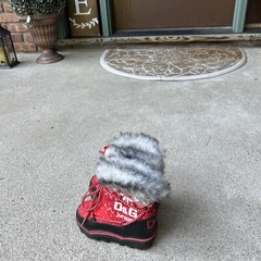 Designer Inspired D&G Junior Snow Boots Fur Lined Sz 29/30