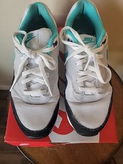 Big Kid’s Nike Air Max 1 White/Hyper Jade-Pure Platinum Youth Size 5.5
