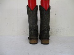 CORRAL Distressed Leather Square Toe Cross Wing Cowboy Boots Sz 3.5 Style A1032