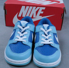 Nike Dunk Low TD Argon Blue Toddler Size 9C DV2634-400 Kids Sneakers New