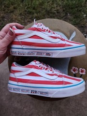 Vans „Where’s Waldo“ PS 1Y