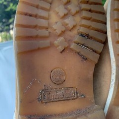 TIMBERLAND Genuine Leather White on Wheat Premium Classic Boots Size 3 ❤️sj7m40
