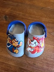 Crocs Child FunLab Paw Patrol Patch Clog Light Grey Gray Blue US TODDLER C5