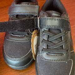 Kids Casual Canvas Hook Loop Low Top Sneaker Boys Girls Shoes Sze 12 Dream Pairs