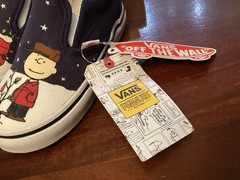 Vans ( Peanuts) Charlie Brown Christmas Tree & Snoopy Slip on Sneakers 8.5 Kids