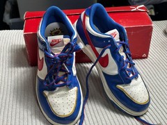 Nike Dunk Low Next Nature PS ‚Superhero‘ Kids Size 3Y Blue FD0673-400