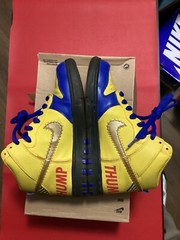 Size 4Y – Nike SB Dunk High 2019 Doernbecher 15th Anniversary 579604-740