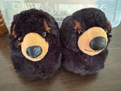 Bear Slippers – Magellan Outdoors – Size M4-5