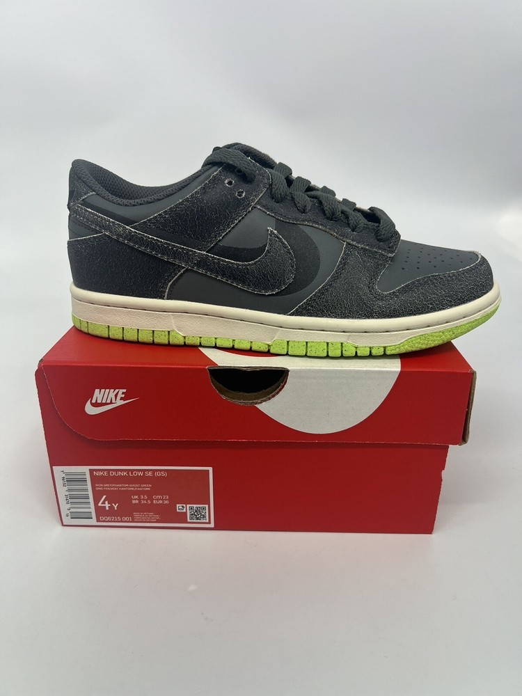 Nike Dunk Low SE 4 Youth