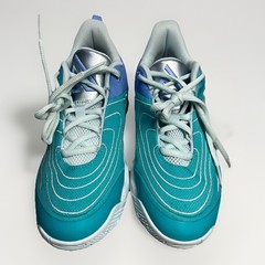 Nike Giannis Immortality 4 GS Size 5.5 Youth 5Y FZ6734-300 Dusty Cactus/Blue/…