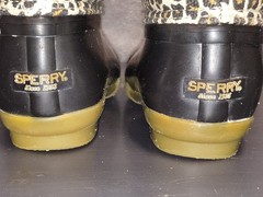 Sperry Saltwater Duck Boot in leopard print