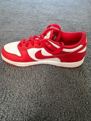 nike dunk low 2.5 youth