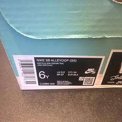Nike SB Alleyoop GS Particle Grey/Geode Teal Athletic Shoes Size 6Y US