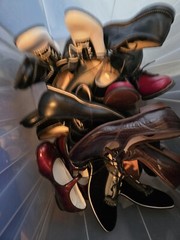 Dr Posner’s Posie’s & Flying Ace’s scient Childrens (Victorian) (Saddle Shoes
