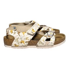 Birkenstock Colorado Sandals Big Dino EU 33 US 2 Kids Birko-Flor