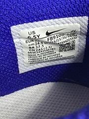 Nike Dunk Low Concord Size 6.5y GS Sneakers Blue White 2024 FB9109-106