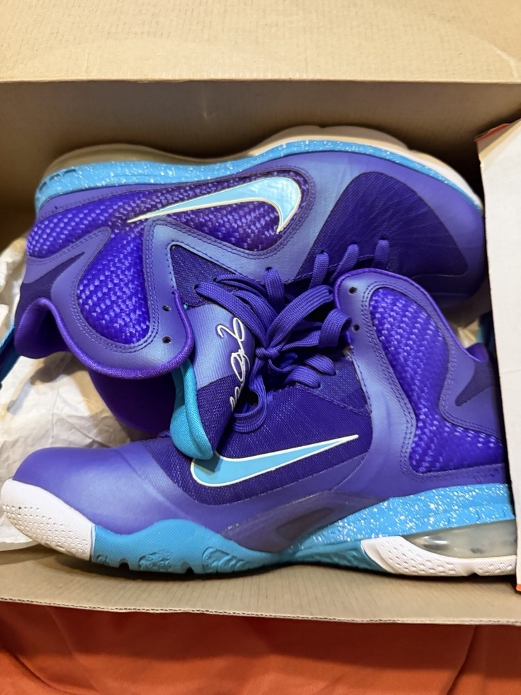 Nike LeBron 9 Hornets