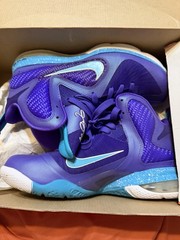 Nike LeBron 9 Hornets