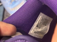 Nike Dunk High Purple/White Leather High Top Lace-Up Youth 6Y DH9751-100