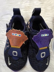 Toddler Shoe Bundle – Size 7C – Nike LeBron + Ecko Unltd Sneakers