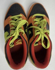 Nike Dunk Low GS Orange Blaze Cactus Shoes GS Size 7Y Women’s 8.5 310569-032