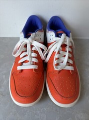 NIKE Dunk Low Everything You Need SZ Y 4.5 Or 6 Women EUC FN 0600 801