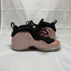 5.5Y Nike Air Foamposite One GS „Elemental Rose“ 644791-601