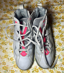 Jordan True Flight Grey and Pink Girls Sneakers