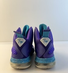 Size 4.5 – Nike LeBron 9 Summit Lake Hornets