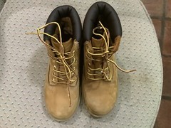 Timberland Youth Boys 6” Premium Waterproof BootsWheat Nubuck NEW, Sz 2M, Ret$90