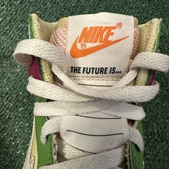 Nike Dunk High Next Nature ‚Multi-Color‘ DZ5638-500 GS 4.5Y / Women’s Size 6