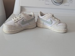 Nike Toddler (TD) Dunk Low White Silver FB9107-108 Size 5C – Good Shape