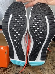 Nike Cosmic Runner (GS) Bright/Crimson/Dusty Cactus 7y