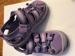Stride Rite Rori Thistle/Heather/Petunia, 5M US Tollder Sandal Purple